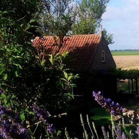 The Cottage - 2 Persoons Cottage Nabij Strand En Meer Zonnemaire المظهر الخارجي الصورة