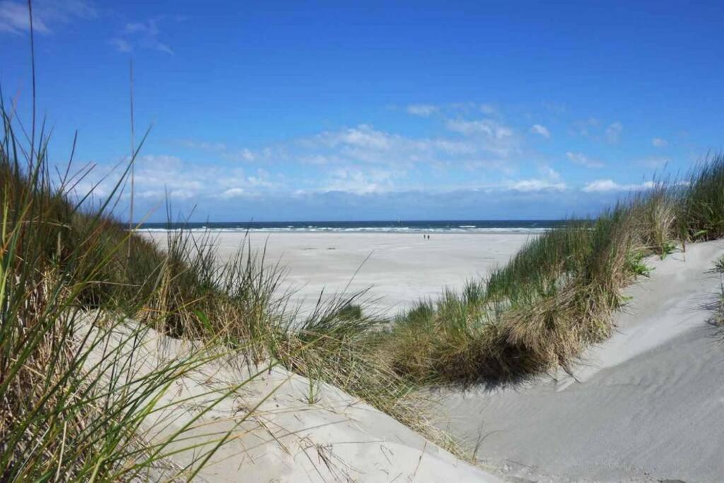The Cottage - 2 Persoons Cottage Nabij Strand En Meer Zonnemaire المظهر الخارجي الصورة