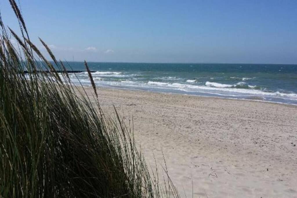 The Cottage - 2 Persoons Cottage Nabij Strand En Meer Zonnemaire المظهر الخارجي الصورة