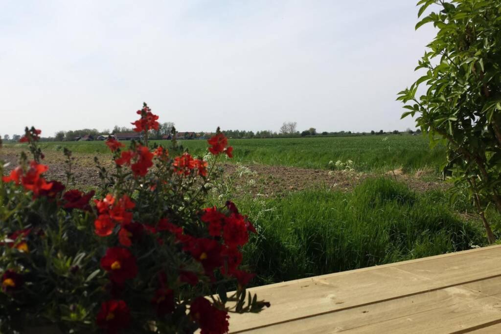 The Cottage - 2 Persoons Cottage Nabij Strand En Meer Zonnemaire المظهر الخارجي الصورة