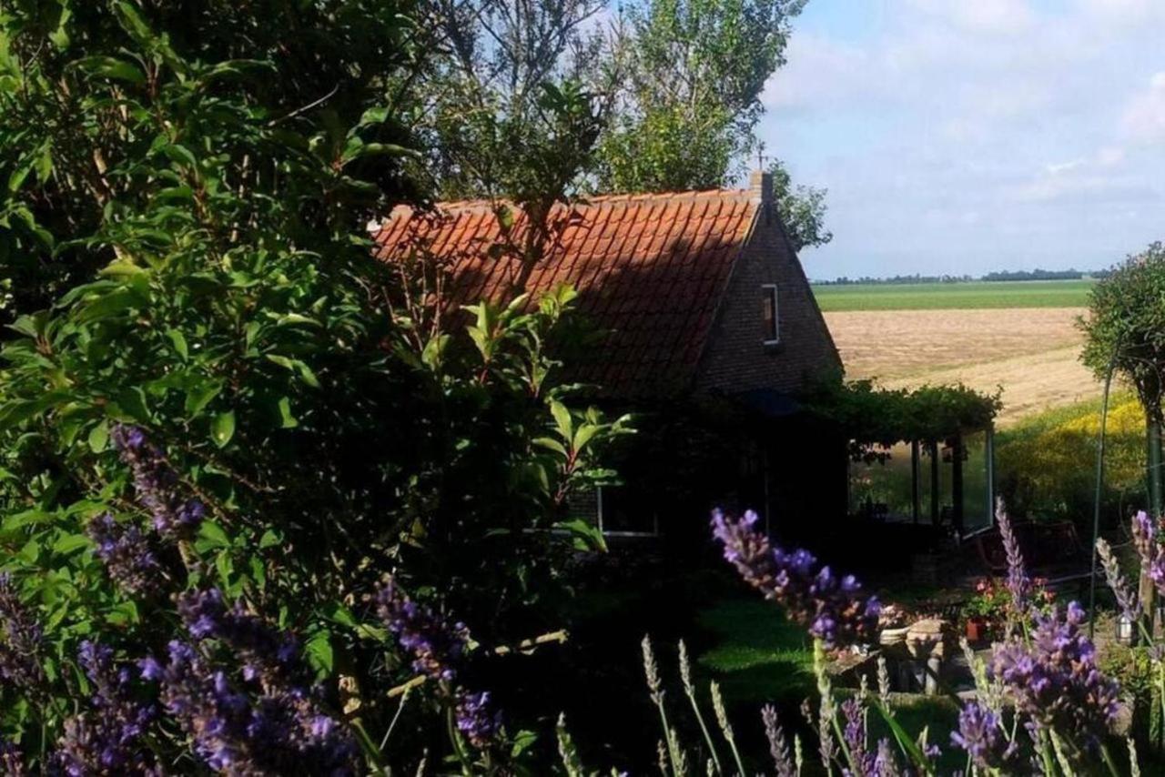 The Cottage - 2 Persoons Cottage Nabij Strand En Meer Zonnemaire المظهر الخارجي الصورة